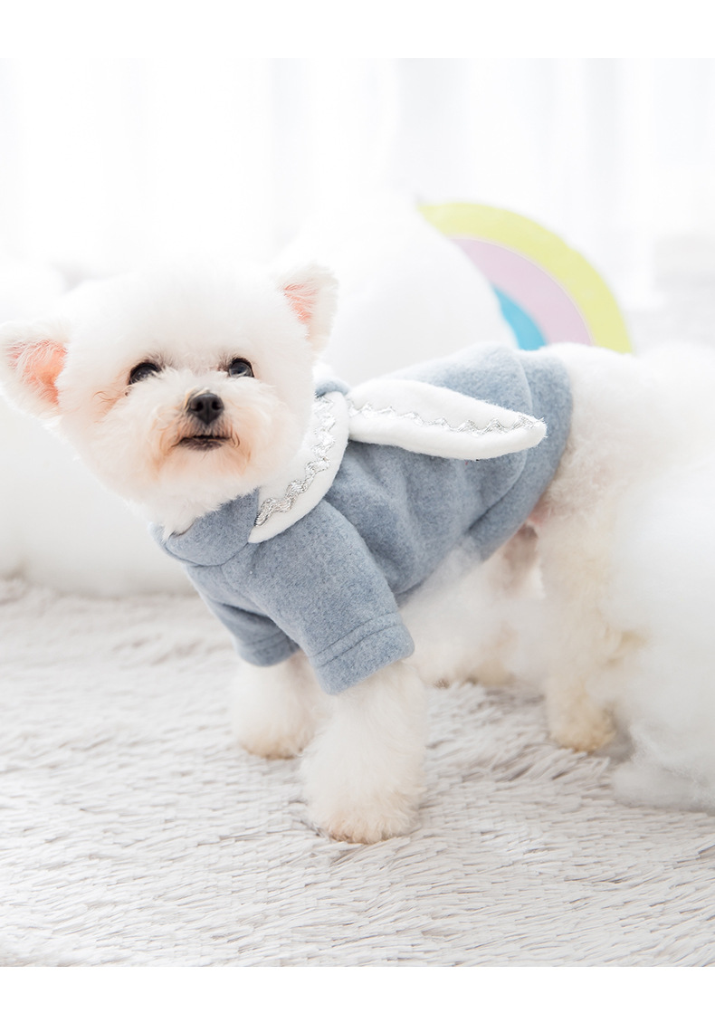 dog clothes large09.jpg